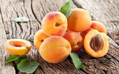 Les bienfaits de l’abricot sur la santé
